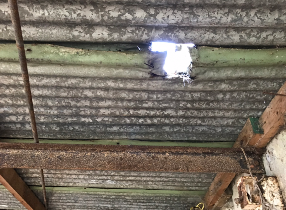 Roof.PNG