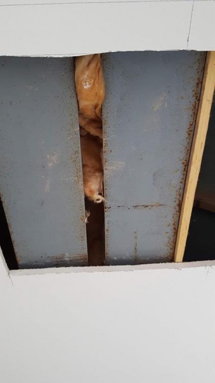 thumbnail_20190306_092947.thumb.jpg.2679dee83610ccbfc1ce88437a4cfb59.jpg