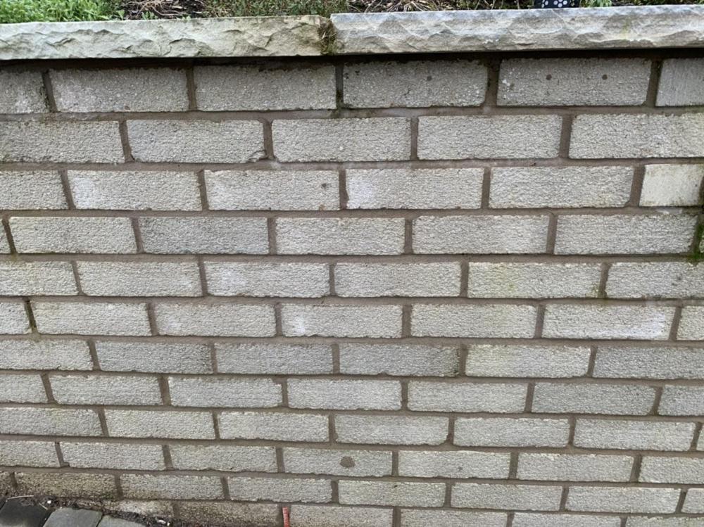 C0E5DE71-75B0-4EFC-A776-4435E63B3615.thumb.jpeg.25a1179d504f9c3c084531759d237f3b.jpeg