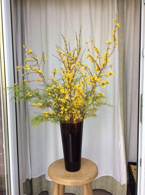 forsythia-1.jpg.094a7c7cc7bb3a026659369c2a4fc45b.jpg