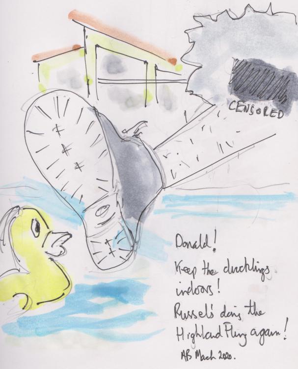 russel.thumb.jpg.df60c08e83f4eb8987ced451afb53848.jpg