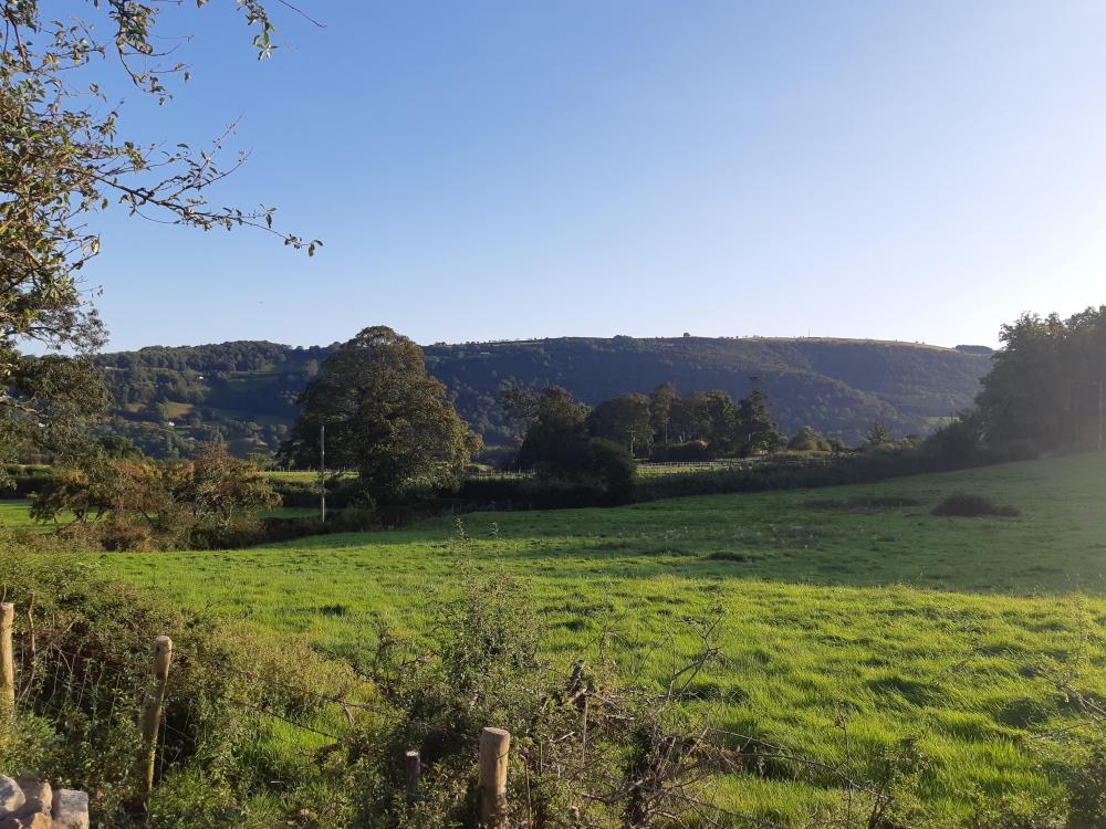 view_from_bryer.jpg
