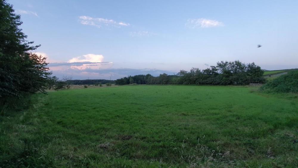 20190725_212755.thumb.jpg.f811de3cf9a95609632f90d2e0da3be6.jpg