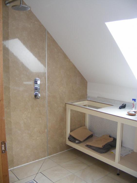 shower_2.thumb.jpg.b6261c6fa809d60597f7a6ea32c77879.jpg