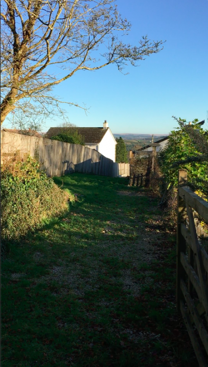 8  Looking down drive to distant view.png