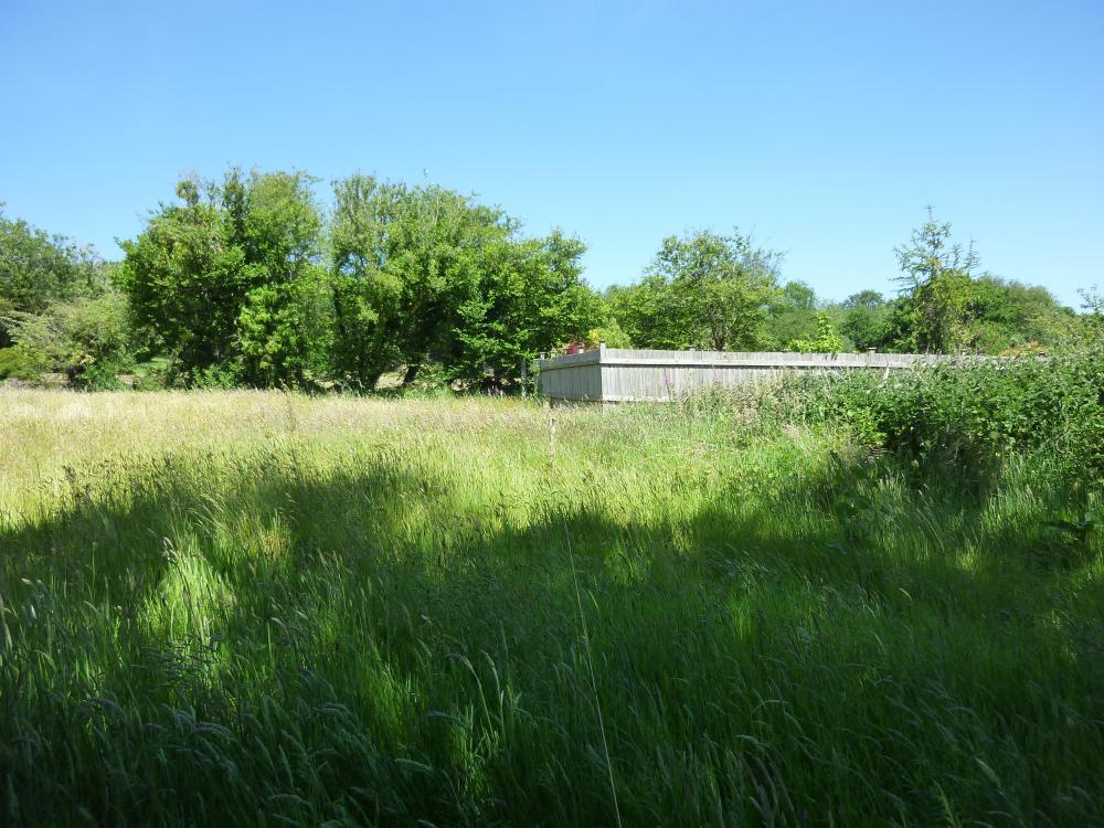 P1020476.JPG