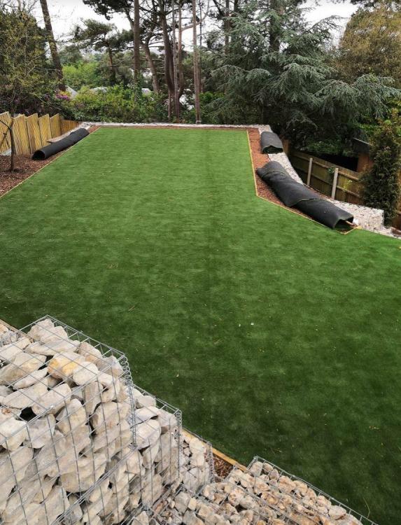 grass1.JPG