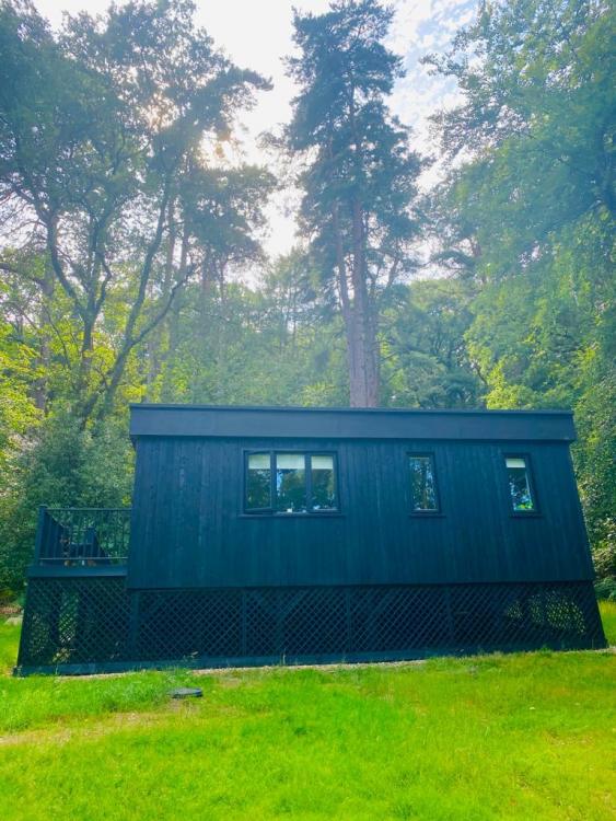 stealth shed.jpg