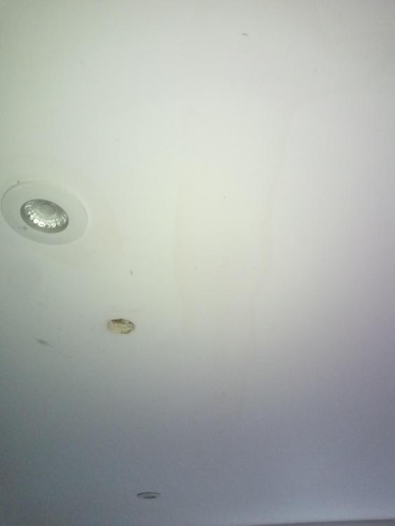 IMG_20200716_080045_9.jpg