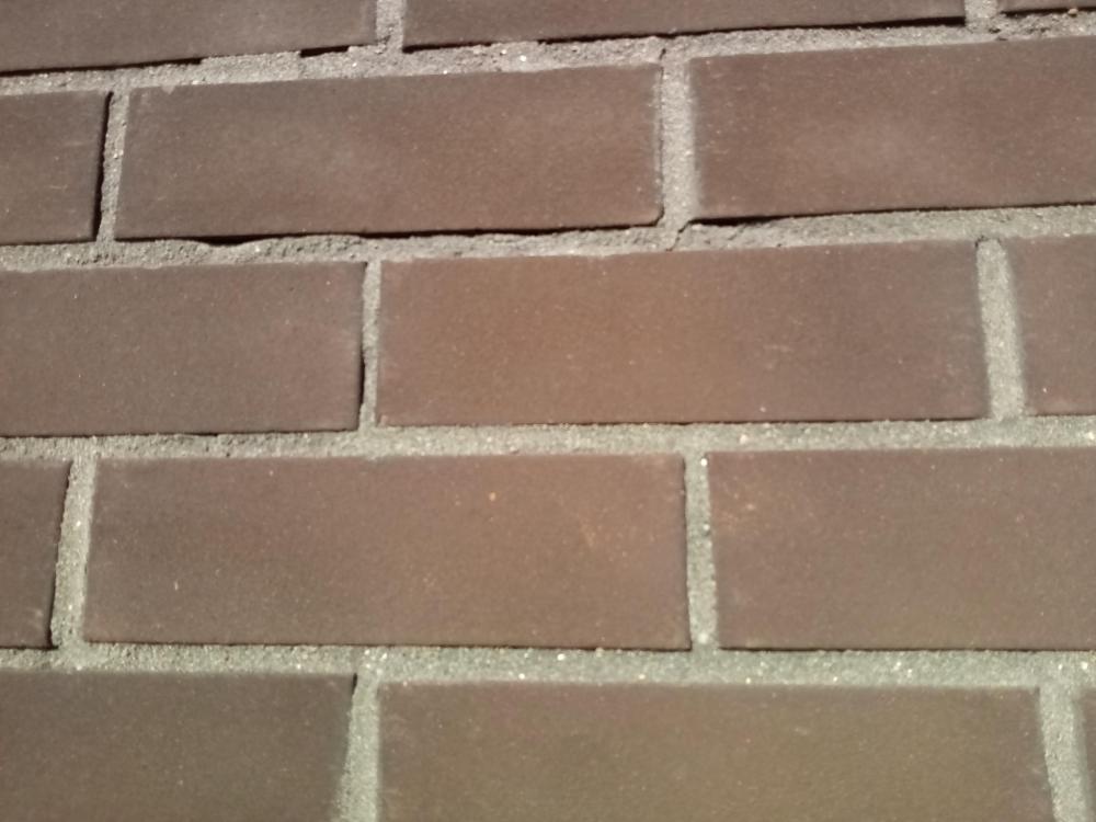 IMG_20200729_174710_0.jpg