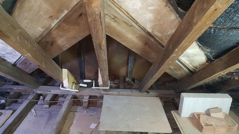 395644696_Newrafters.thumb.jpeg.cfe537d7d9333601fb306eb87743c53d.jpeg
