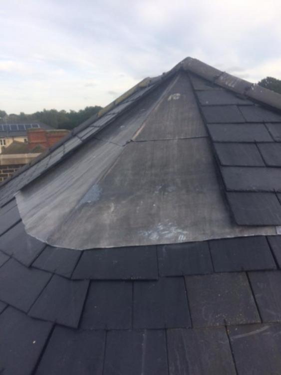 roof.jpg