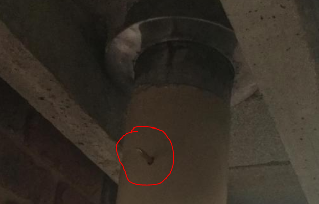 image.png.7c5f507834749363b0214e11036dd944.png