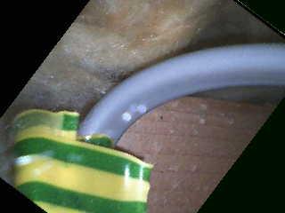 wire.JPG.58edcde03f1dc0d17bbfaf9cb3183ea3.JPG