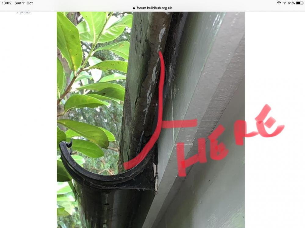 488A1CE0-1580-4BB2-BBEF-6CFAC2C39BF3.thumb.jpeg.df316f20f12a3e22872d2de39e218f32.jpeg