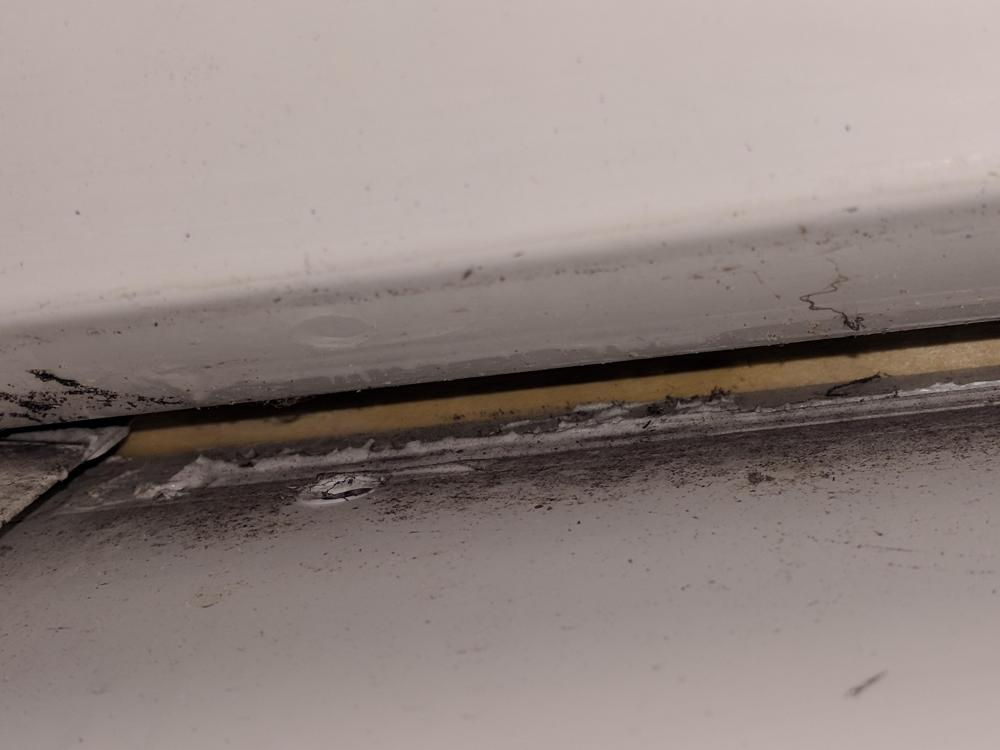 IMG_20201023_181231.jpg