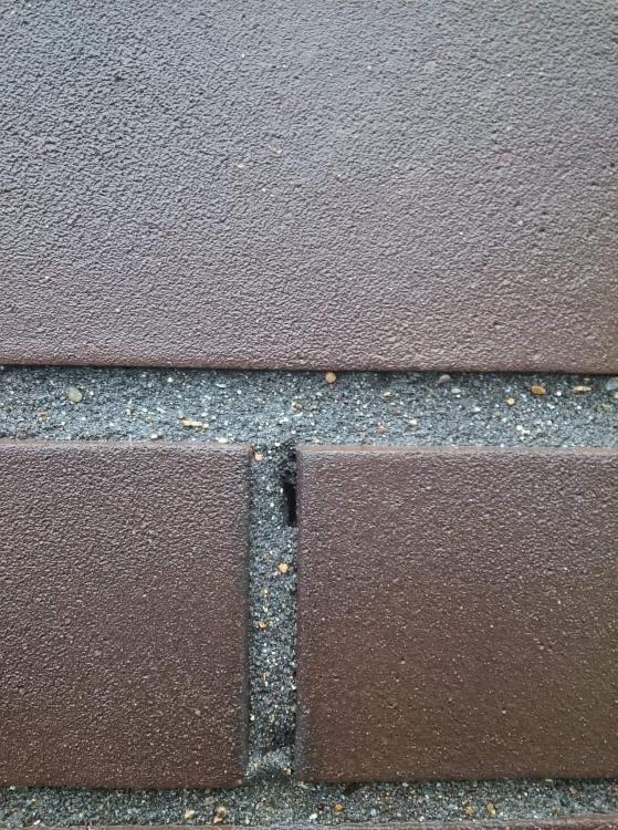 received_799195667564318.jpeg