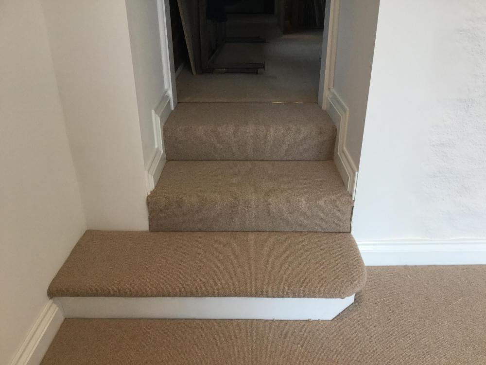 0D2D7351-1C64-4DCF-99A2-53D05ED1F276.jpeg