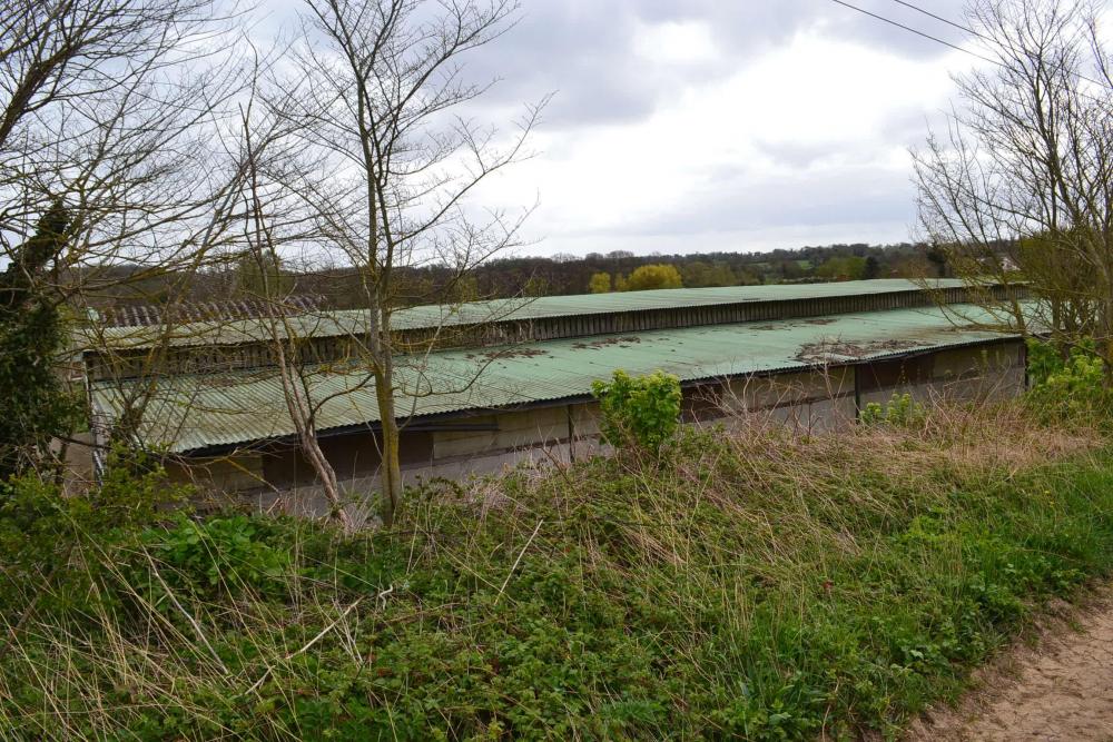 roof from south - in high field .JPG