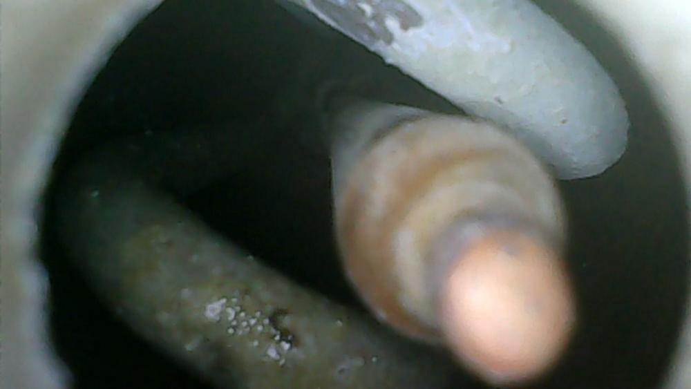 1989227673_WIN_20201113_10_41_59_Pro(3).thumb.jpg.cb6817b90d3485c5b3cf41f71ee49c55.jpg