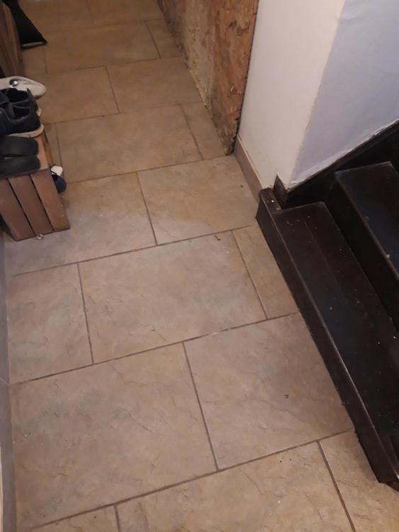 20201107_133159.jpg