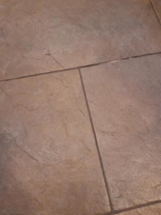 20201107_133209.jpg