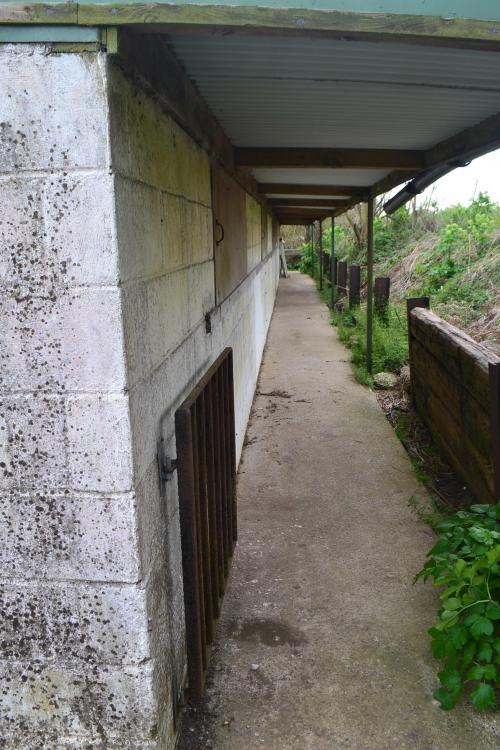 rear wall facing south west.JPG