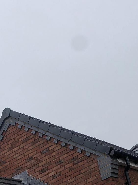 C7734367-EC05-4FA1-A90F-8E90E403C09D.jpeg