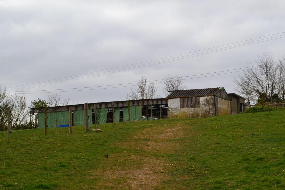 DSC_0567.JPG