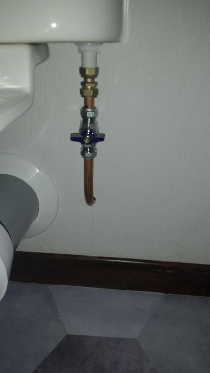 IMG_20201129_173449093.thumb.jpg.dc1baf0cc7d641e743f22e96d49f2dae.jpg