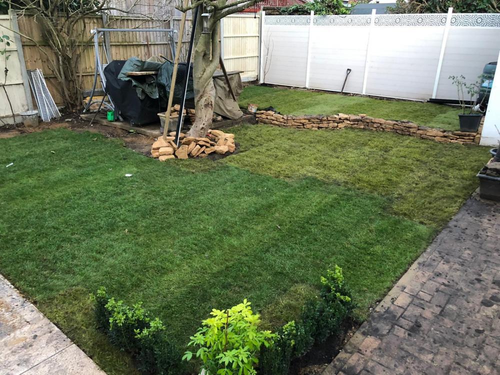 garden green.jpeg