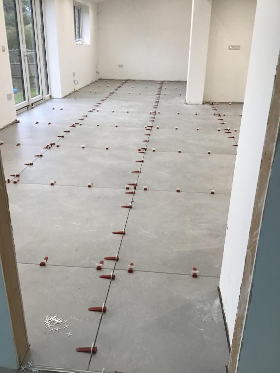 Floor.jpg