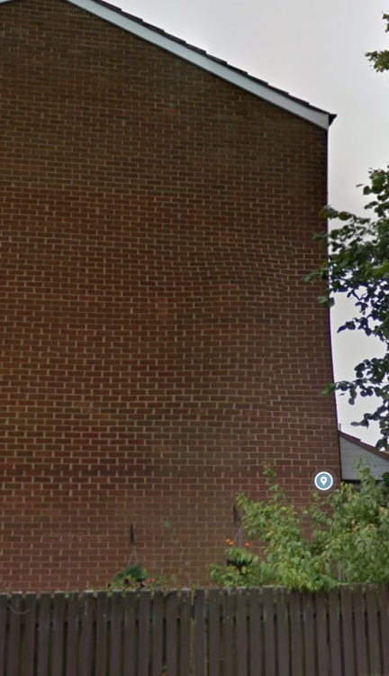 Screenshot_20210119-035503.thumb.png.a1899b13522687bd3cd75738de41ff6d.png