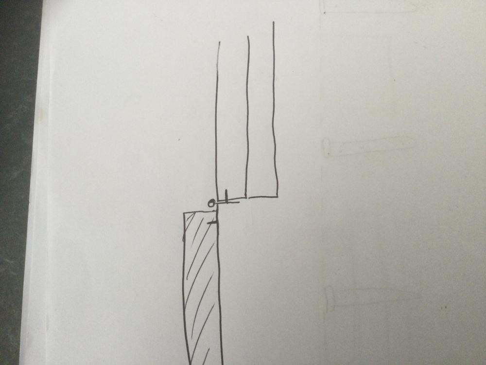 image.jpg