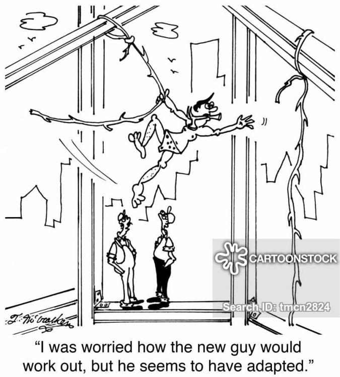 tarzan-scaffolding.thumb.jpg.7c960d6b8576d9d754661bbc25aab3eb.jpg