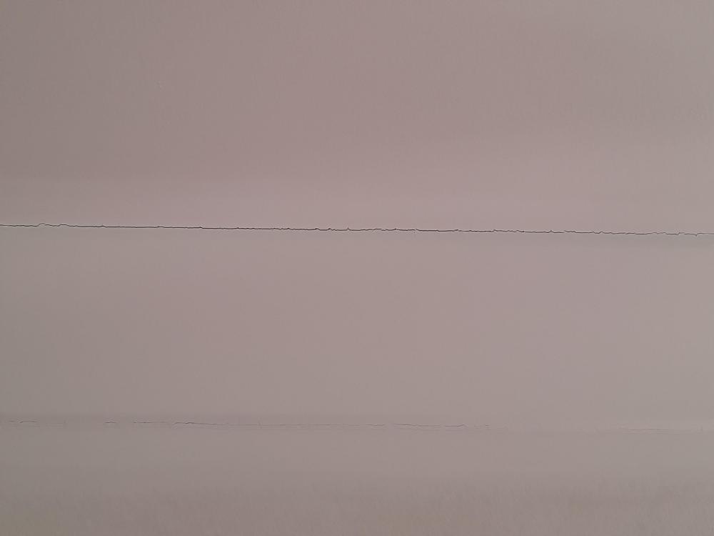20210129_123356.jpg