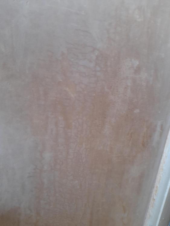 20210213_135831.jpg