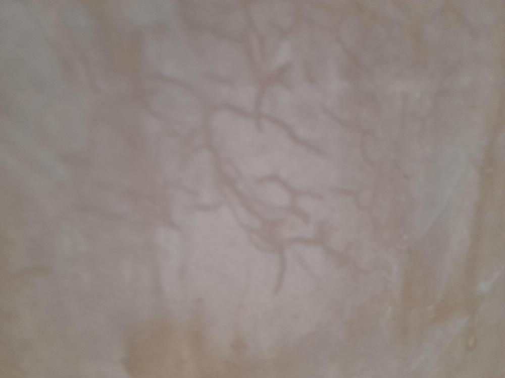 20210213_135843.jpg