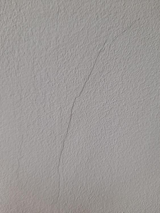 20210215_114109.jpg