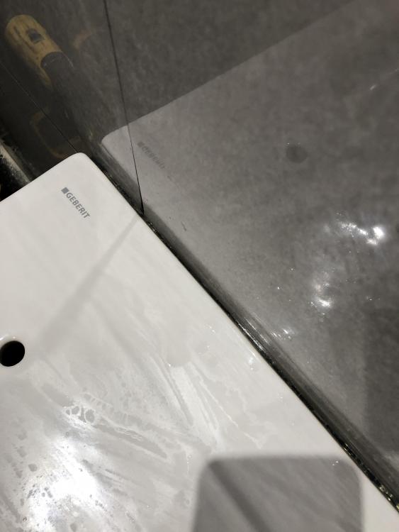 782385FE-DDDF-4DC3-8CE5-A7A89923E8C7.jpeg
