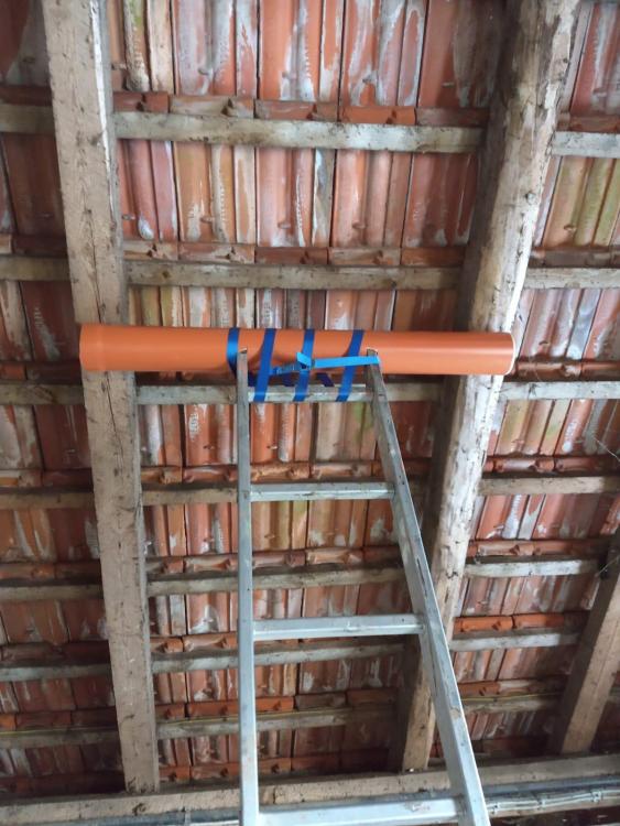 ladder.jpeg