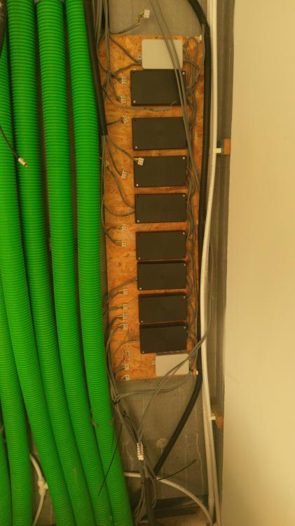 IMG-20210124-WA0014.thumb.jpeg.6ae246865ad62c81a48527c74a9f0837.jpeg