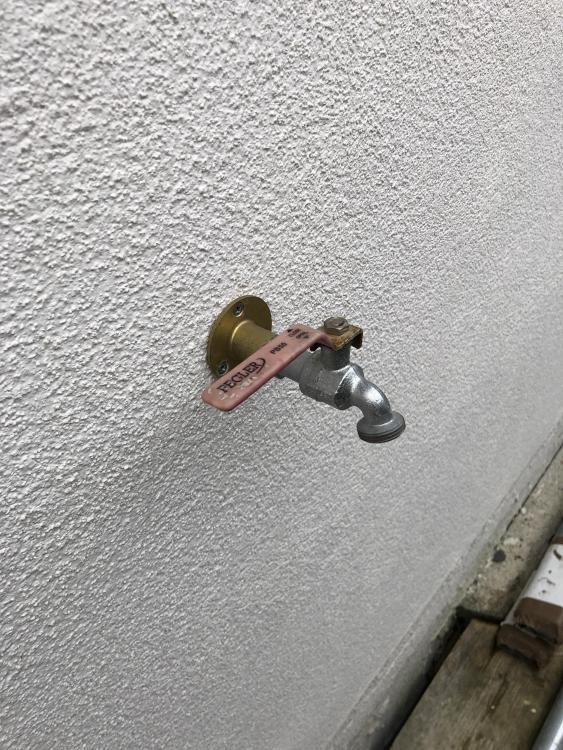 image.jpg