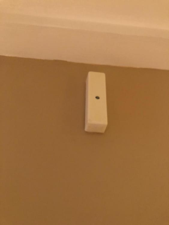 thing.thumb.jpg.c645e1894e44b1ba1abb810c79059702.jpg
