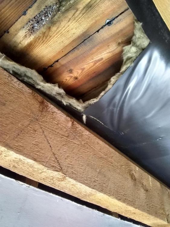 Roof_2.jpg