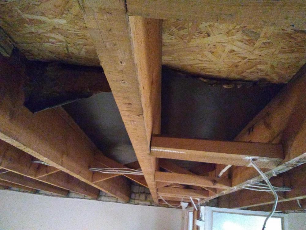 Roof_3.jpg