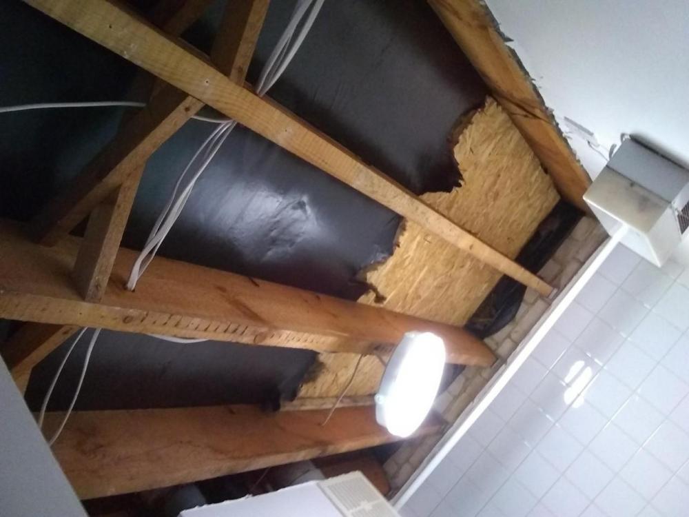 Roof_5.jpg