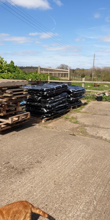 yard_2.thumb.jpg.080a5f6e970bdfd2eaaa69b19eccfc65.jpg