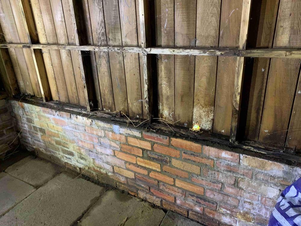 Shed Inside Woodwork - resized.jpg