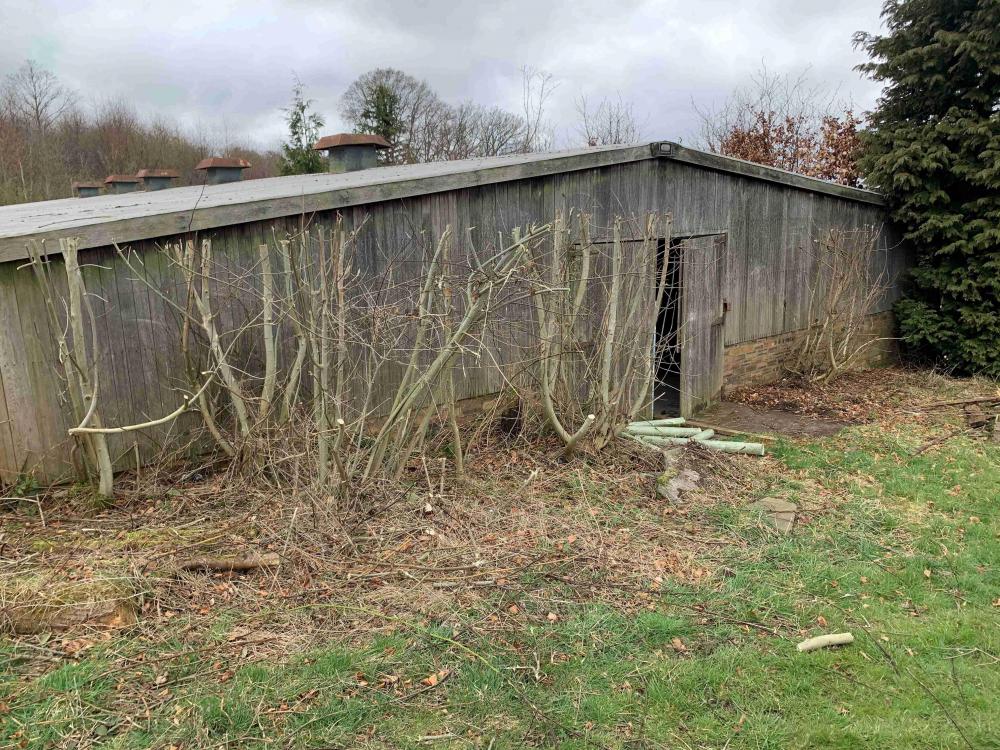 Outside Front Shed - resized.jpg